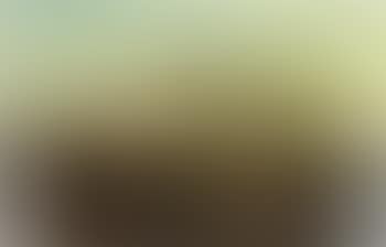 View of the Gulf of Naples (preview)