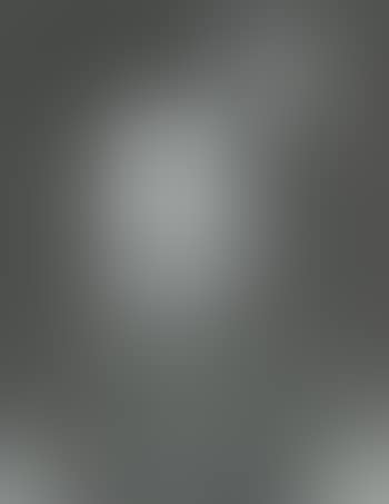 Portrait of King Charles IX (preview)