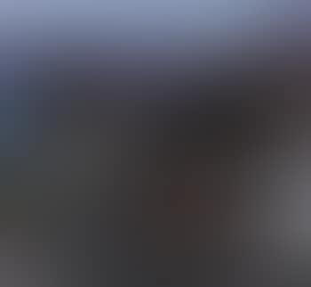 Landscape, Koster (preview)