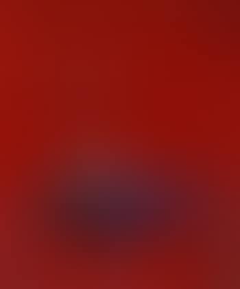 Still life composition (preview)