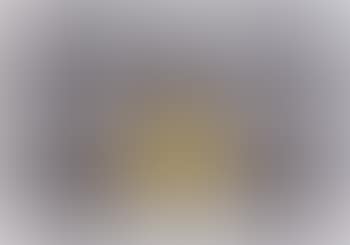 Yellow nose (preview)