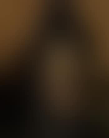 Portrait of a Venetian woman - la Callera (preview)