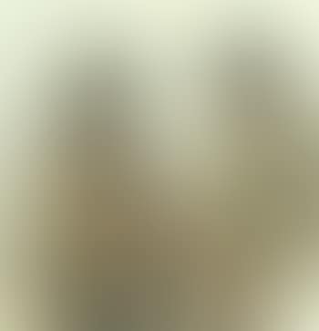 Study of harvesters (preview)