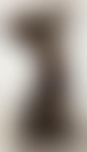 Venus a sa toilette (preview)