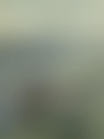 Rowing boat (preview)