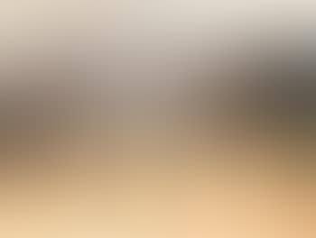 Le Jardin des Tuileries (preview)