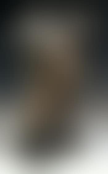 Torse d'homme dit Nouveau Modele (preview)