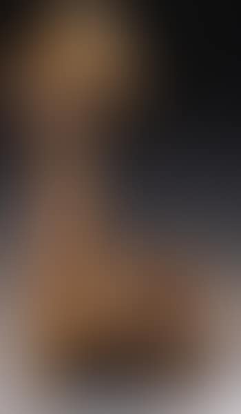 Animal de reve (preview)