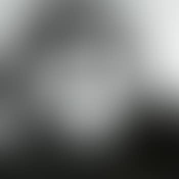 Orangutan, from Endangered Species (preview)