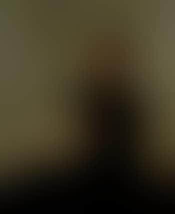 Portrait of Mrs Stephen Hey, nee Mary Elizabeth Fox (preview)