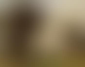 Shady elms, Hertfordshire (preview)