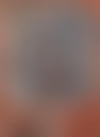 Imagen en un espejo (preview)