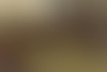 Wooded landscape (preview)
