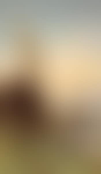 The Nile (preview)