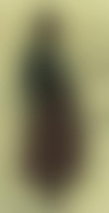 Study of an old peasant woman (preview)