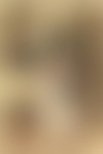 Study of an old peasant woman (preview)