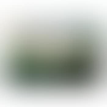 Extensive Rhenish landscape (preview)