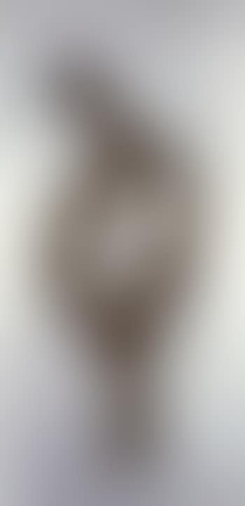 Untitled (preview)