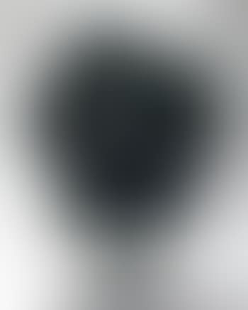 Untitled, green bush (preview)