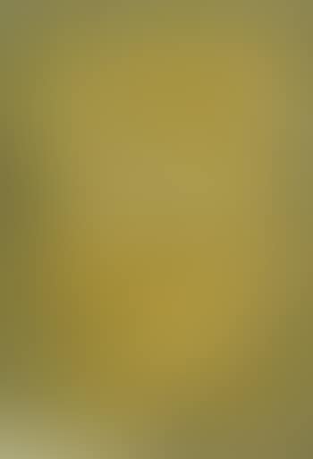 Green and yellow moments (preview)
