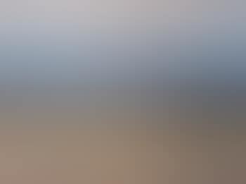 River with house and swans, twilight (preview)