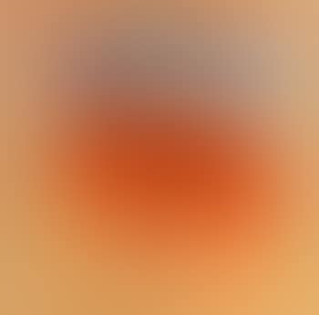 Camel (preview)