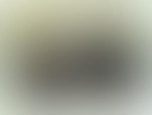 Composition (preview)