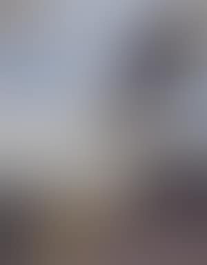 Wooded landscape (preview)
