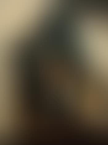 Nature morte (preview)