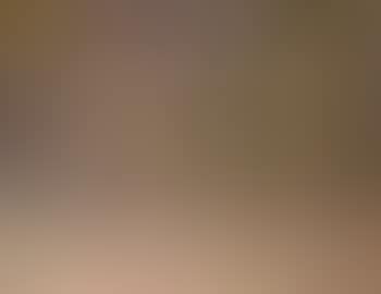 Paysage (preview)