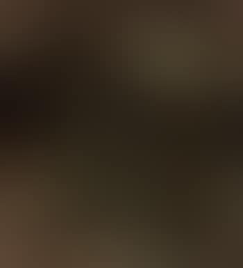 Spanje l (preview)