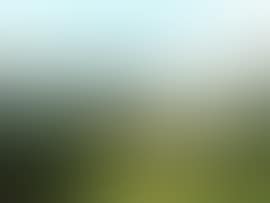 Canterbury landscape (preview)