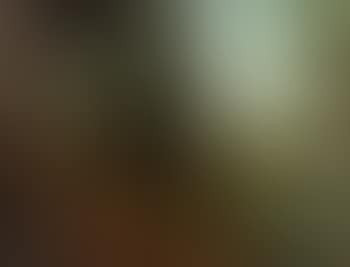Landscape with rest in the flight to Egypt (preview)