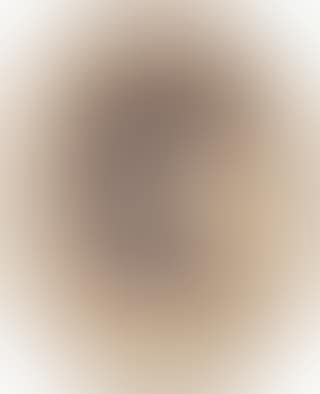 Portrait of Mrs Fanny Zetterberg, nee Soderberg (preview)