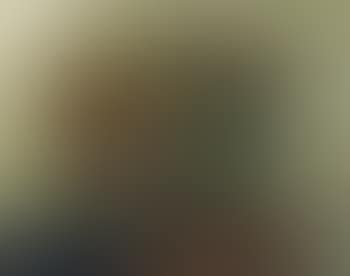 Still life (preview)