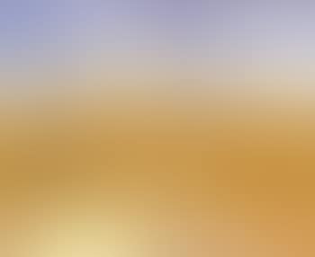 Paysage de Camargue (preview)