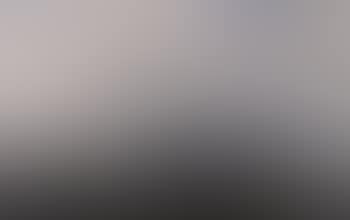 Landscape with forest (preview)