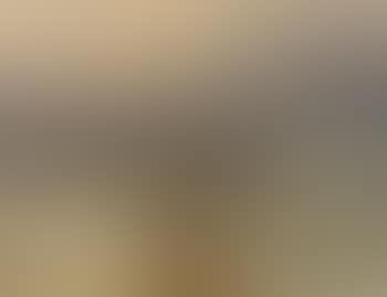 Northern landscape in spring (preview)