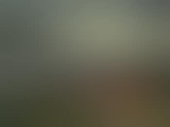 Kerteminde, fishing town, Denmark (preview)
