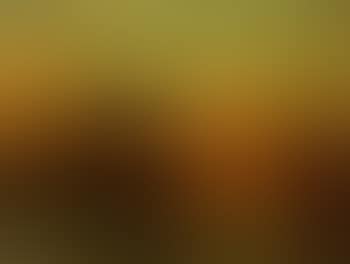 River landscape at sunset (preview)
