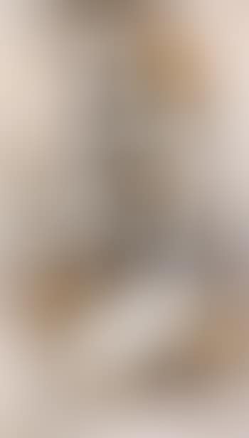 Woman with bird cage (preview)