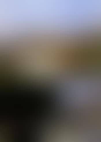 Landscape (preview)
