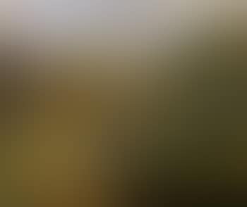 Paysage de Provence (preview)
