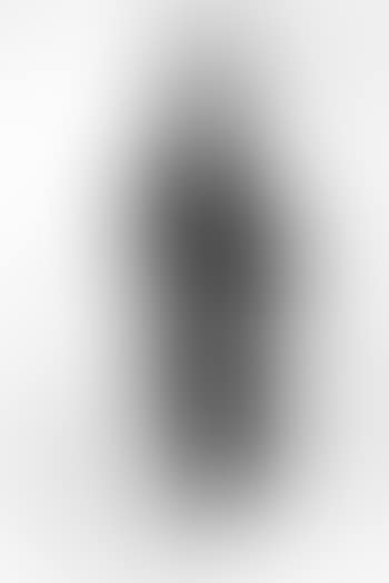 Portrait of Sir John Primrose (preview)