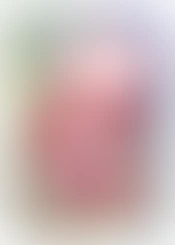 Embryonal (preview)
