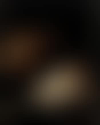 Tempus Fugit (preview)