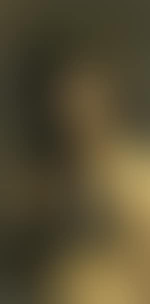 Prize for the Artist's Corps (preview)