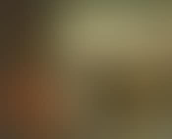 Study of St Jerome by shrine with lion by his side (preview)