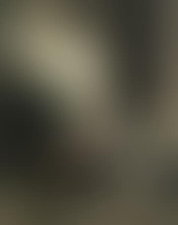 The young narcissus (preview)