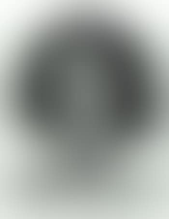 Emily, fingerprint (preview)